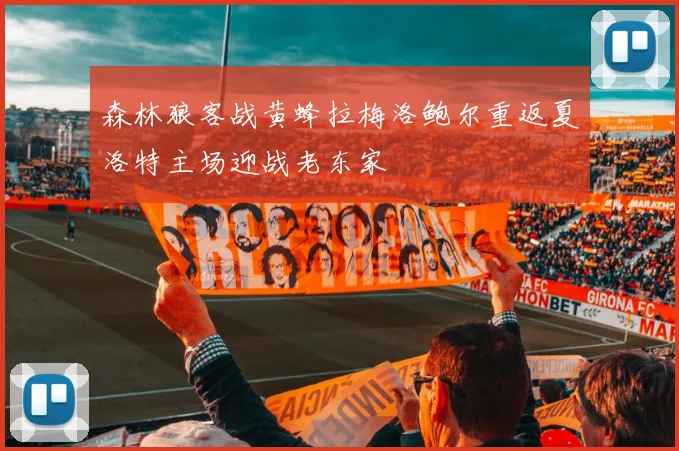森林狼客战黄蜂拉梅洛鲍尔重返夏洛特主场迎战老东家